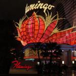 Flamingo Casino